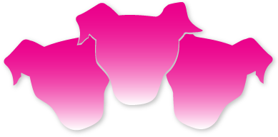 cerebus-logo-3heads