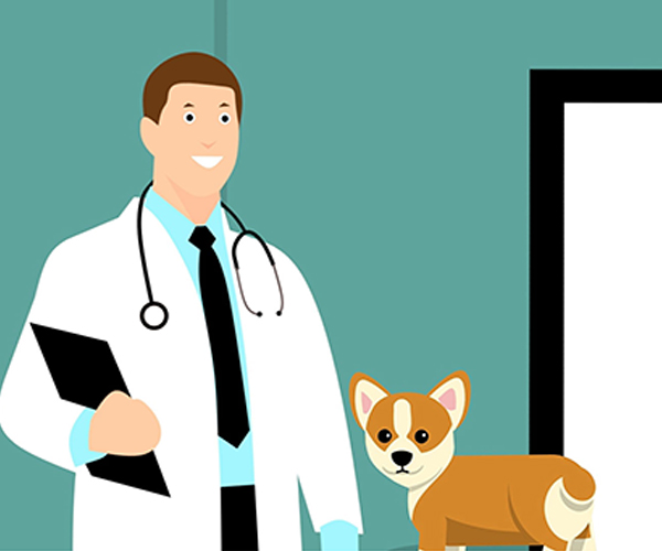 vetvisit